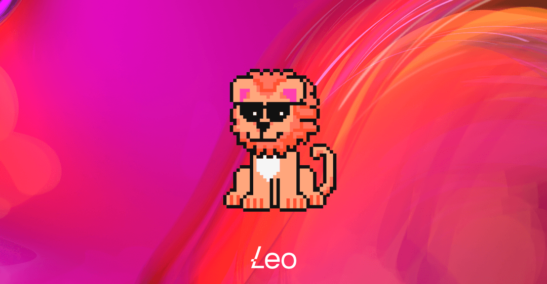 The Leo programming language: fast, safe and worth the await! 🦁